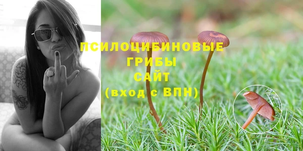 спиды Медвежьегорск