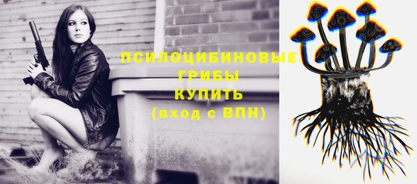 спиды Медвежьегорск